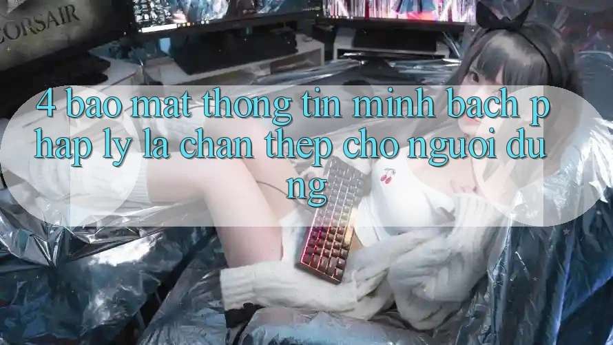 4. Bảo mật Thông Tin & Minh bạch Pháp Lý: Lá Chắn Thép Cho Người dùng