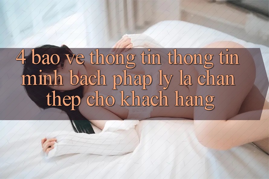 4. Bảo vệ thông tin Thông Tin & Minh bạch Pháp Lý: Lá Chắn Thép Cho Khách hàng