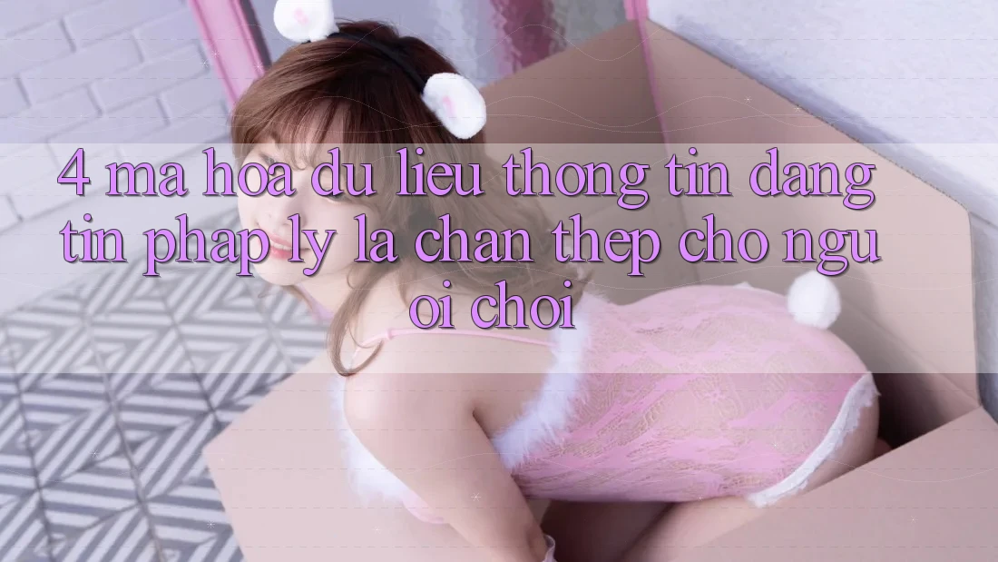4. Mã hóa dữ liệu Thông Tin & Đáng tin Pháp Lý: Lá Chắn Thép Cho Người Chơi