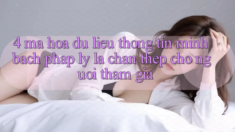 4. Mã hóa dữ liệu Thông Tin & Minh bạch Pháp Lý: Lá Chắn Thép Cho Người tham gia
