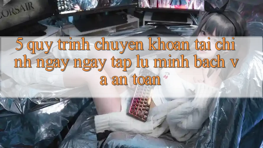 5. Quy Trình Chuyển khoản Tài Chính: Ngay ngay tắp lự, Minh Bạch Và An Toàn