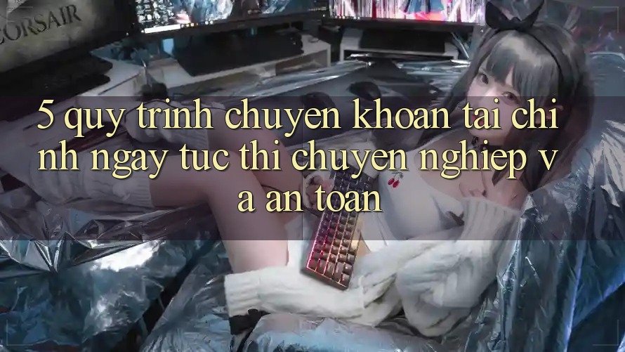 5. Quy Trình Chuyển khoản Tài Chính: Ngay tức thì, Chuyên nghiệp Và An Toàn