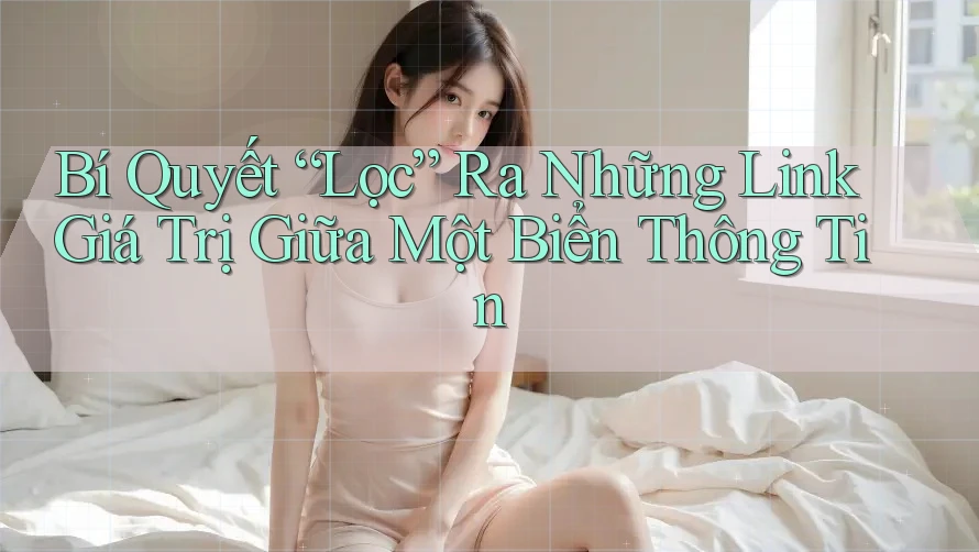 Bí Quyết “Lọc” Ra Những Link Giá Trị Giữa Một Biển Thông Tin