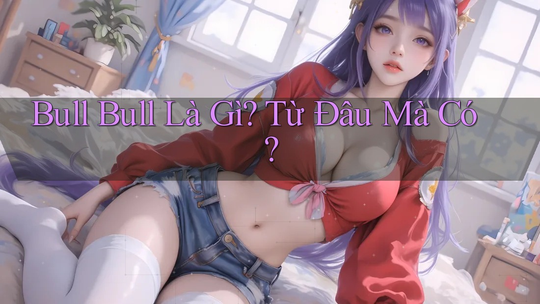 Bull Bull Là Gì? Từ Đâu Mà Có?