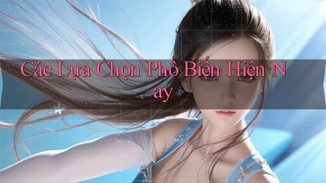 Các Lựa Chọn Phổ Biến Hiện Nay