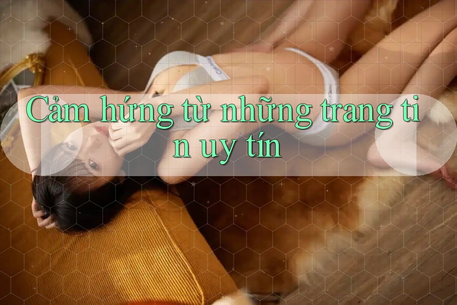Cảm hứng từ những trang tin uy tín