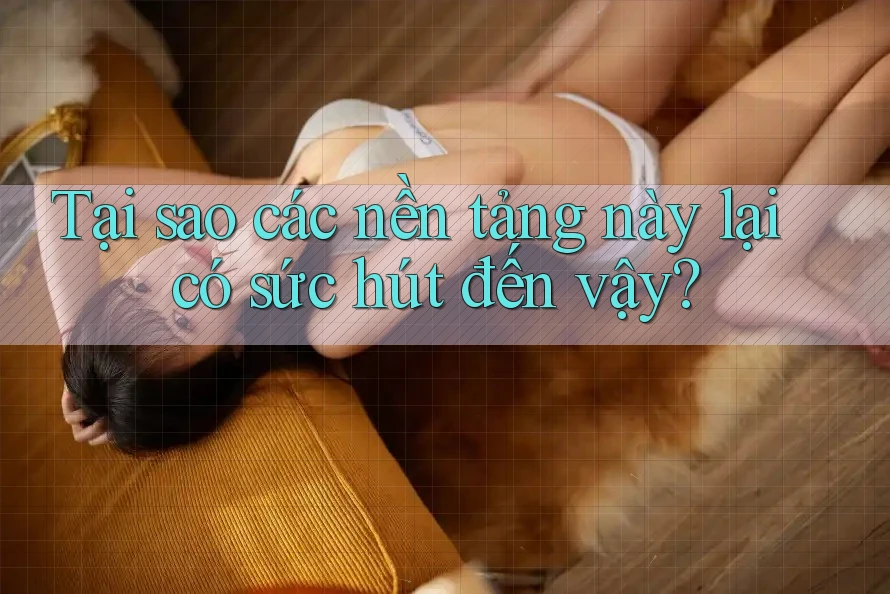 Tại sao các nền tảng này lại có sức hút đến vậy?