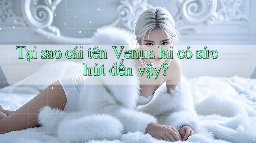 Tại sao cái tên Venus lại có sức hút đến vậy?