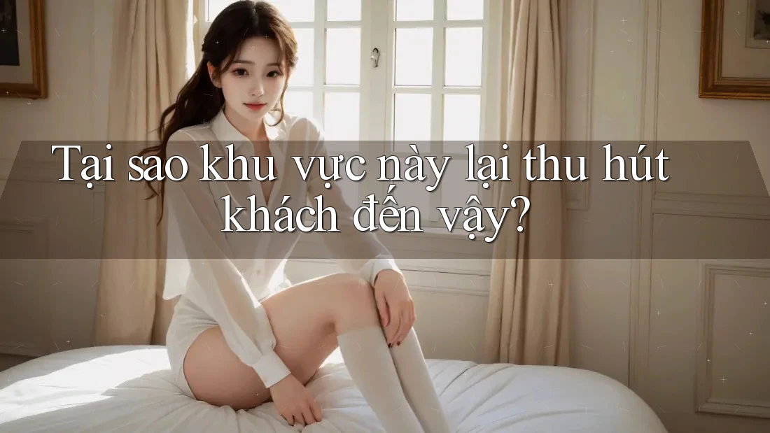 Tại sao khu vực này lại thu hút khách đến vậy? Tại sao khu vực này lại thu hút khách đến vậy?