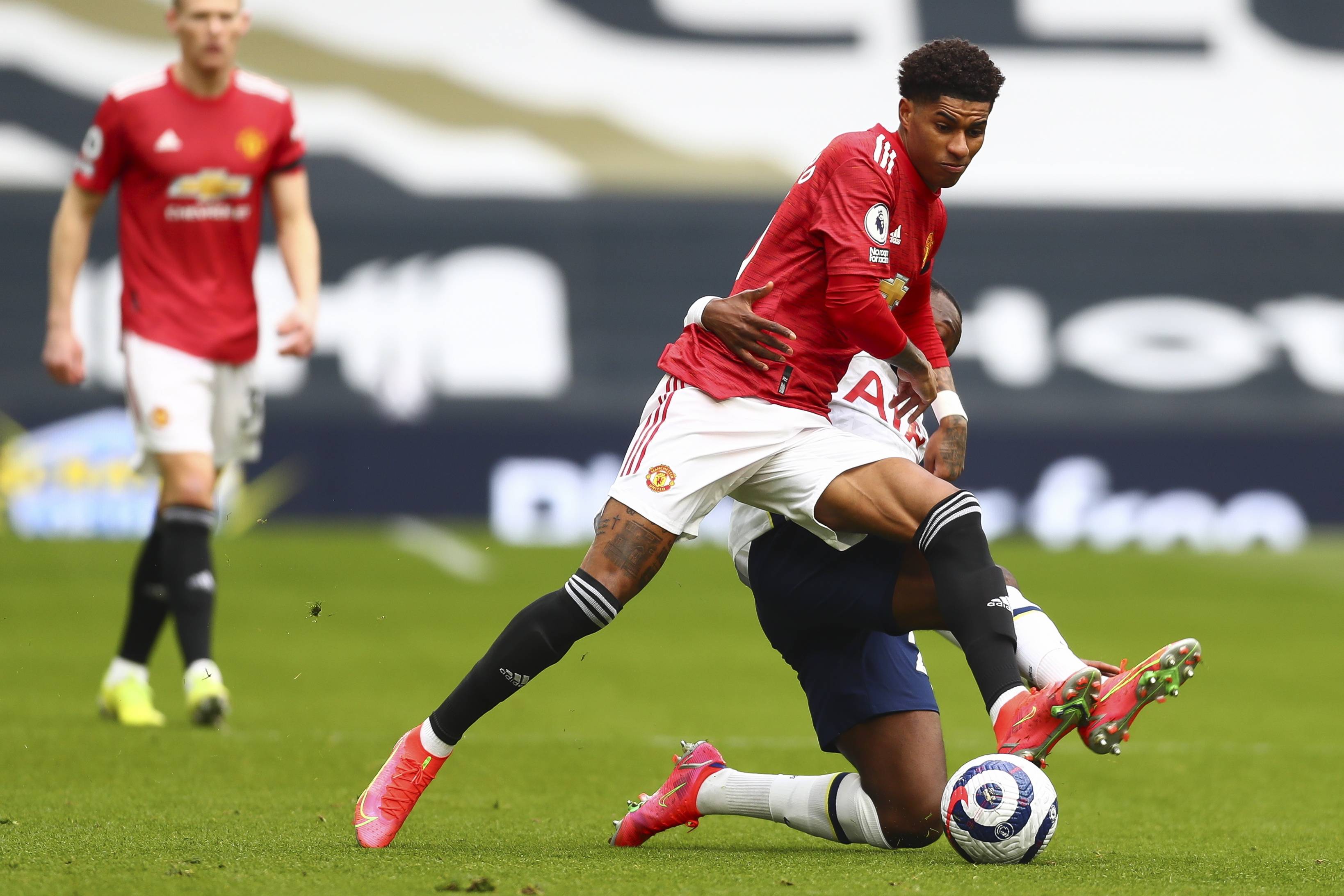 為什麼是馬 為什麼是馬