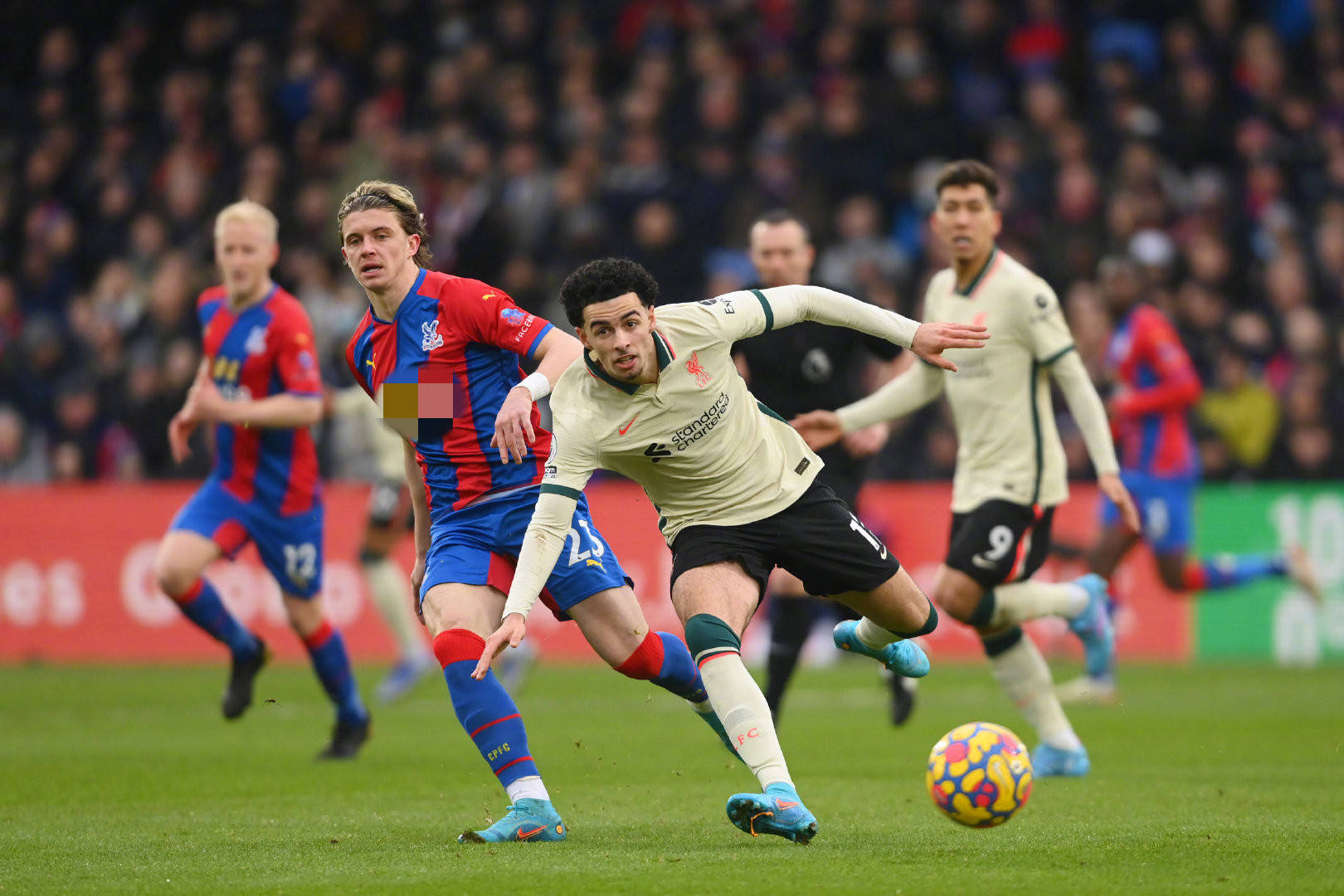 这样的迎接 这样的迎接